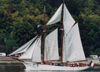 bellepoule