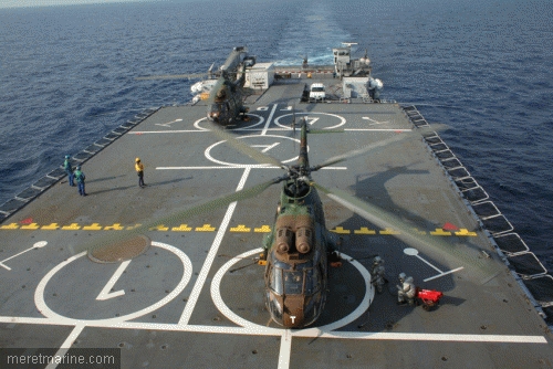 puma hélicoptère Off 75%